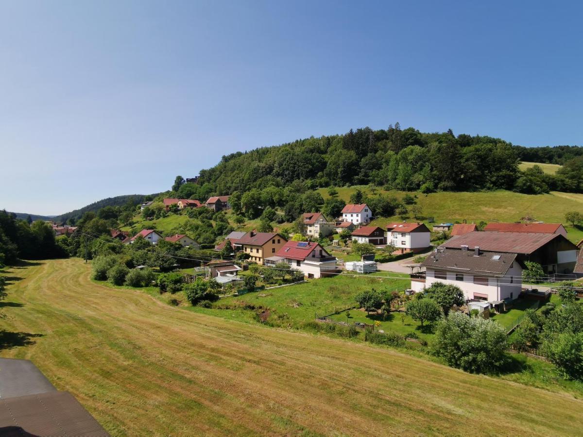בירפלדןאוברזנט Hotel Gruener Baum Mit Restaurant & Wellness מראה חיצוני תמונה