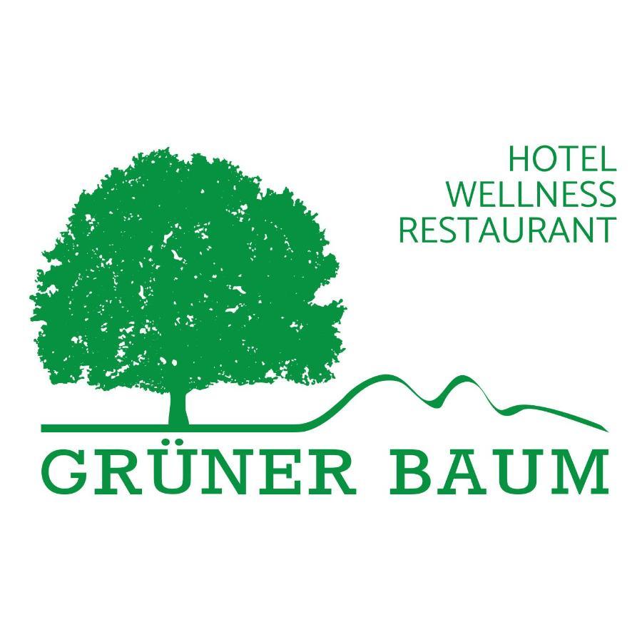 בירפלדןאוברזנט Hotel Gruener Baum Mit Restaurant & Wellness מראה חיצוני תמונה