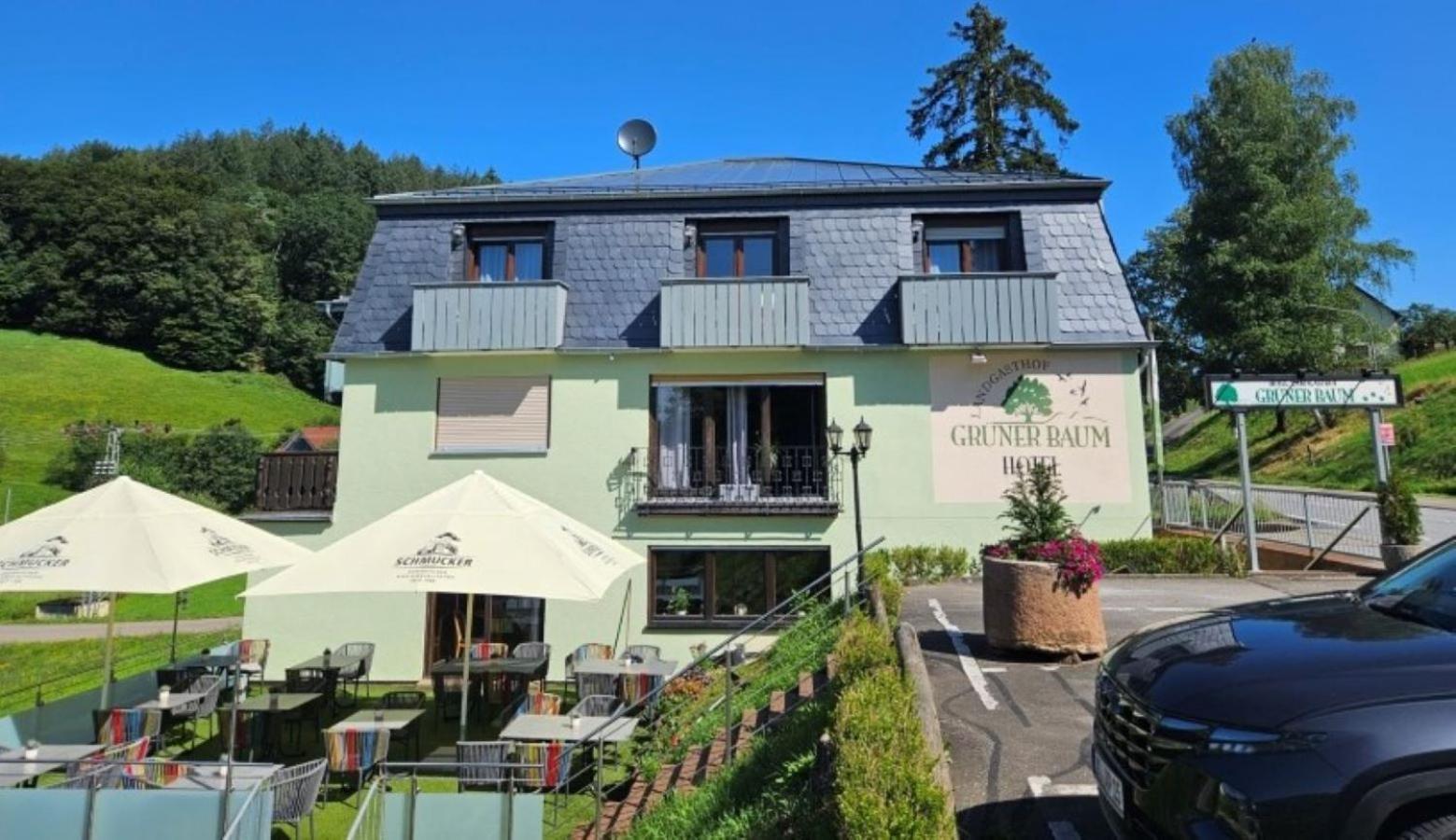 בירפלדןאוברזנט Hotel Gruener Baum Mit Restaurant & Wellness מראה חיצוני תמונה