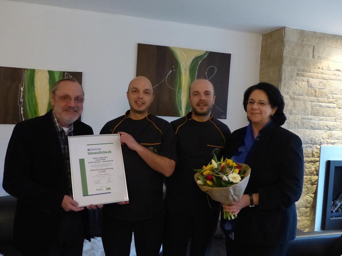בירפלדןאוברזנט Hotel Gruener Baum Mit Restaurant & Wellness מראה חיצוני תמונה