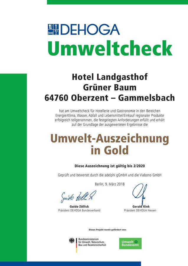 בירפלדןאוברזנט Hotel Gruener Baum Mit Restaurant & Wellness מראה חיצוני תמונה